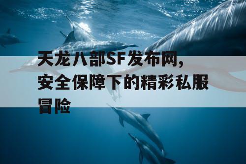 天龙八部SF发布网,安全保障下的精彩私服冒险