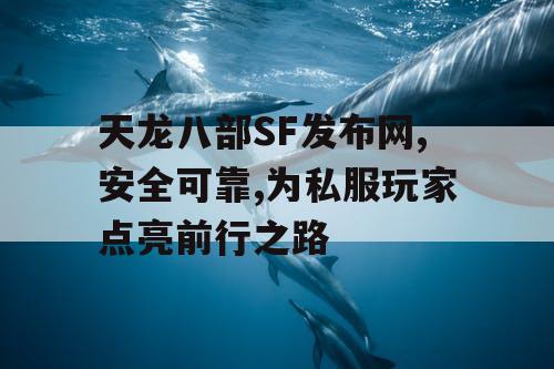 天龙八部SF发布网,安全可靠,为私服玩家点亮前行之路