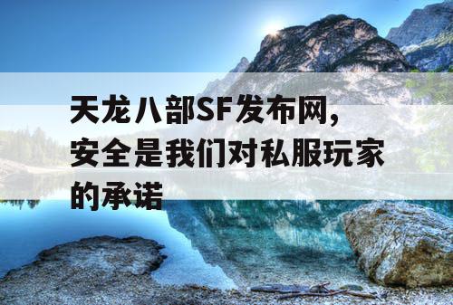 天龙八部SF发布网,安全是我们对私服玩家的承诺