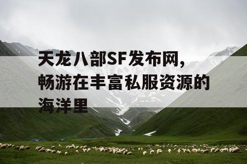 天龙八部SF发布网,畅游在丰富私服资源的海洋里