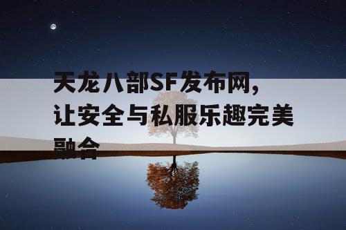 天龙八部SF发布网,让安全与私服乐趣完美融合