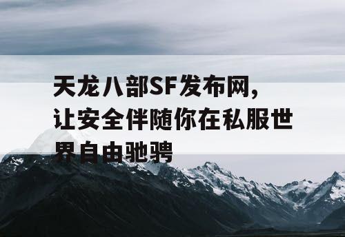 天龙八部SF发布网,让安全伴随你在私服世界自由驰骋