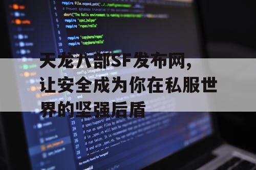 天龙八部SF发布网,让安全成为你在私服世界的坚强后盾