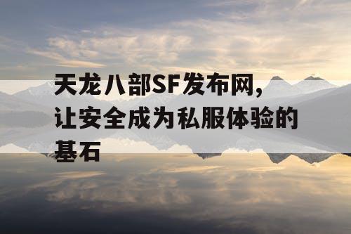 天龙八部SF发布网,让安全成为私服体验的基石