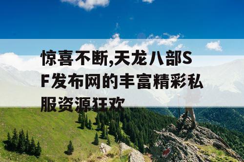 惊喜不断,天龙八部SF发布网的丰富精彩私服资源狂欢