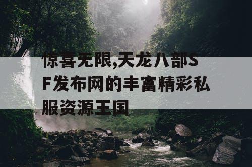 惊喜无限,天龙八部SF发布网的丰富精彩私服资源王国