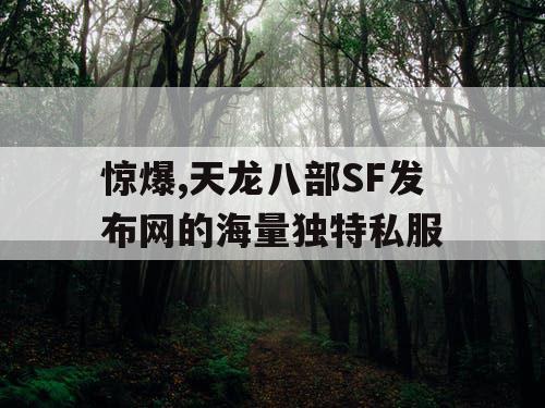 惊爆,天龙八部SF发布网的海量独特私服