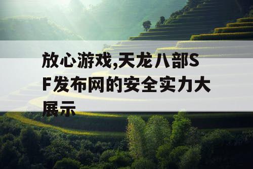 放心游戏,天龙八部SF发布网的安全实力大展示