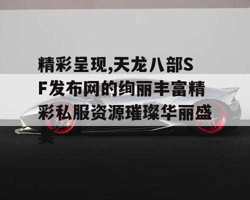 精彩呈现,天龙八部SF发布网的绚丽丰富精彩私服资源璀璨华丽盛宴