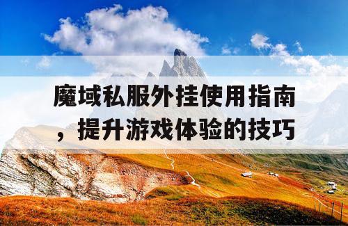 魔域私服外挂使用指南，提升游戏体验的技巧