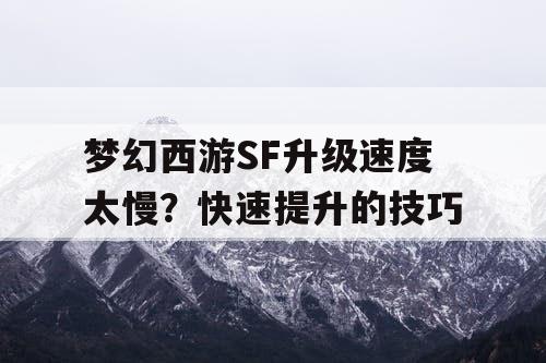 梦幻西游SF升级速度太慢？快速提升的技巧