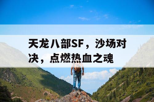 天龙八部SF，沙场对决，点燃热血之魂