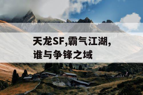 天龙SF,霸气江湖,谁与争锋之域