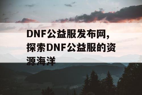 DNF公益服发布网,探索DNF公益服的资源海洋