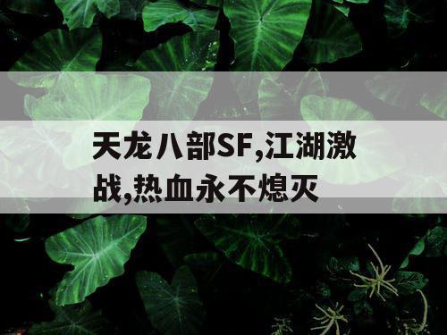 天龙八部SF,江湖激战,热血永不熄灭