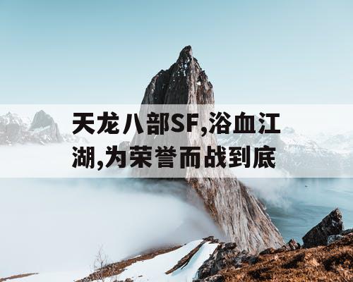 天龙八部SF,浴血江湖,为荣誉而战到底