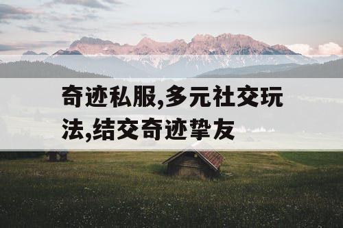 奇迹私服,多元社交玩法,结交奇迹挚友
