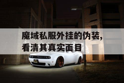 魔域私服外挂的伪装,看清其真实面目