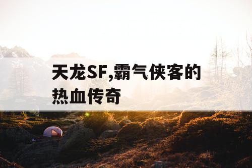 天龙SF,霸气侠客的热血传奇 天龙SF,霸气侠客的热血传奇