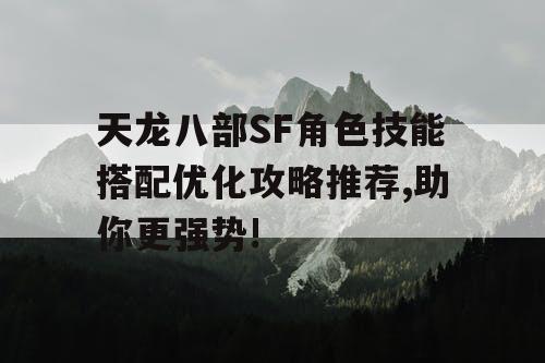 天龙八部SF角色技能搭配优化攻略推荐,助你更强势!