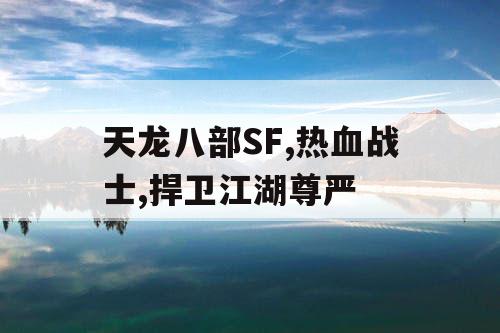 天龙八部SF,热血战士,捍卫江湖尊严
