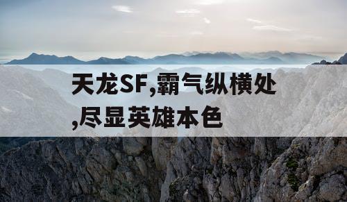 天龙SF,霸气纵横处,尽显英雄本色