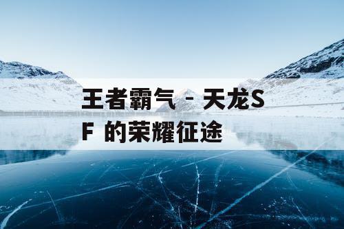王者霸气 - 天龙SF 的荣耀征途