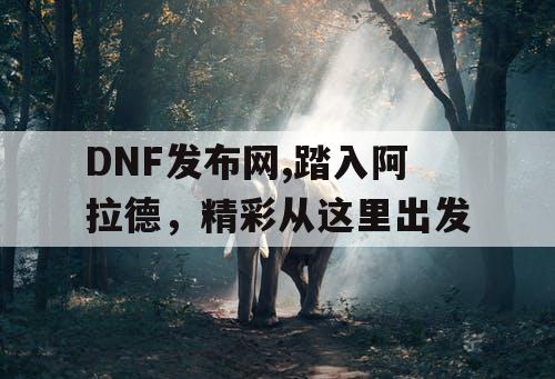 DNF发布网,踏入阿拉德，精彩从这里出发