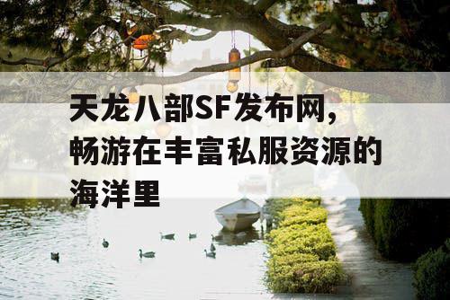 天龙八部SF发布网,畅游在丰富私服资源的海洋里