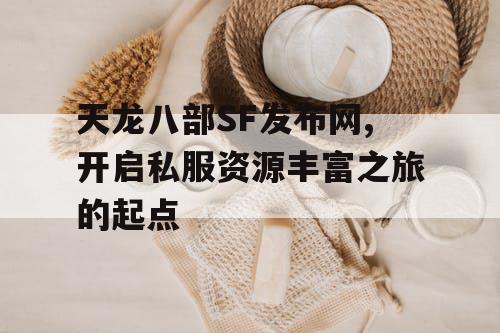 天龙八部SF发布网,开启私服资源丰富之旅的起点