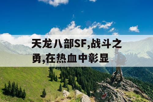 天龙八部SF,战斗之勇,在热血中彰显