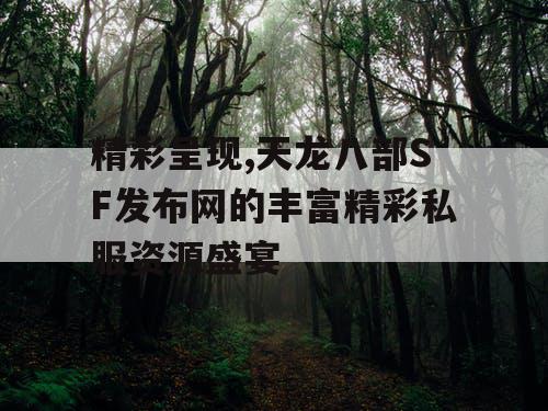 精彩呈现,天龙八部SF发布网的丰富精彩私服资源盛宴