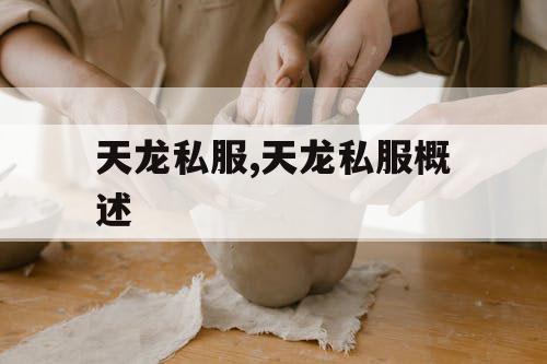 天龙私服,天龙私服概述