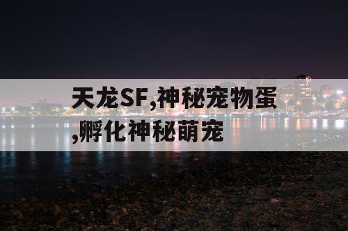 天龙SF,神秘宠物蛋,孵化神秘萌宠