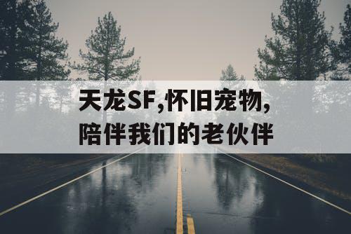 天龙SF,怀旧宠物,陪伴我们的老伙伴