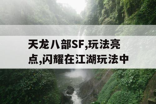 天龙八部SF,玩法亮点,闪耀在江湖玩法中