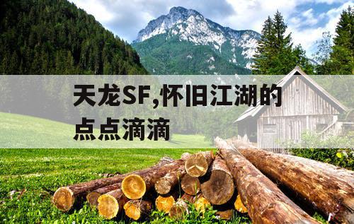 天龙SF,怀旧江湖的点点滴滴