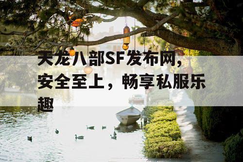 天龙八部SF发布网,安全至上，畅享私服乐趣