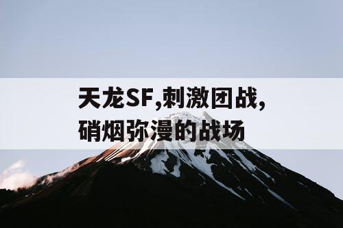 天龙SF,刺激团战,硝烟弥漫的战场