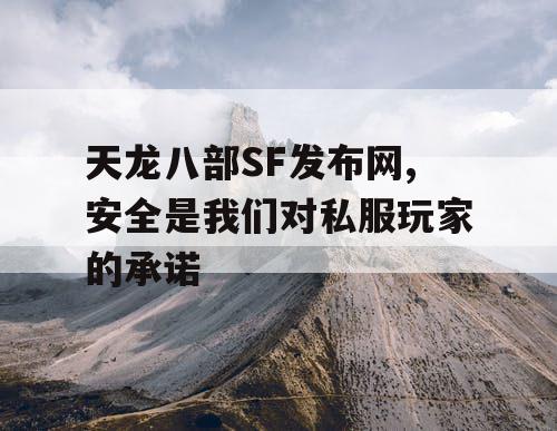 天龙八部SF发布网,安全是我们对私服玩家的承诺