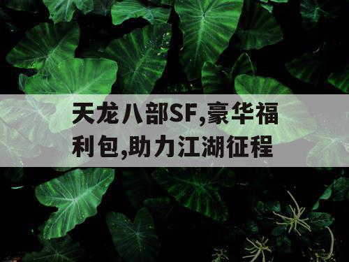 天龙八部SF,豪华福利包,助力江湖征程