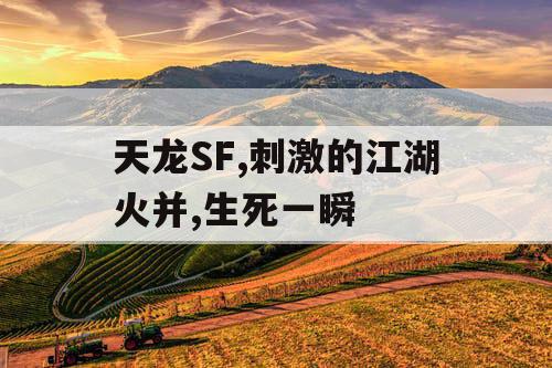 天龙SF,刺激的江湖火并,生死一瞬