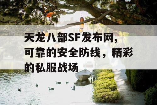 天龙八部SF发布网,可靠的安全防线，精彩的私服战场