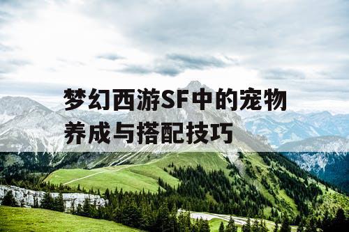 梦幻西游SF中的宠物养成与搭配技巧