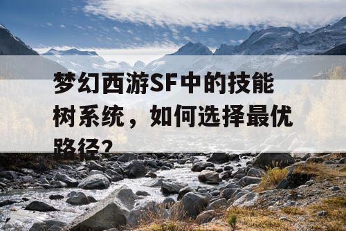 梦幻西游SF中的技能树系统，如何选择最优路径？