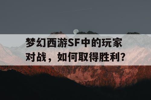 梦幻西游SF中的玩家对战,如何取得胜利? 梦幻西游SF中的玩家对战,如何取得胜利?