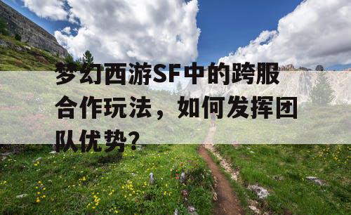 梦幻西游SF中的跨服合作玩法，如何发挥团队优势？