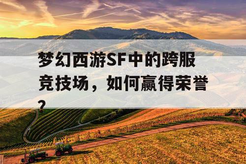 梦幻西游SF中的跨服竞技场，如何赢得荣誉？