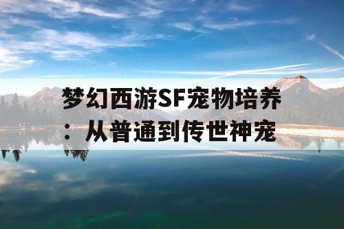 梦幻西游SF宠物培养：从普通到传世神宠