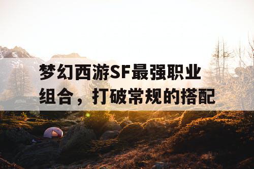 梦幻西游SF最强职业组合，打破常规的搭配